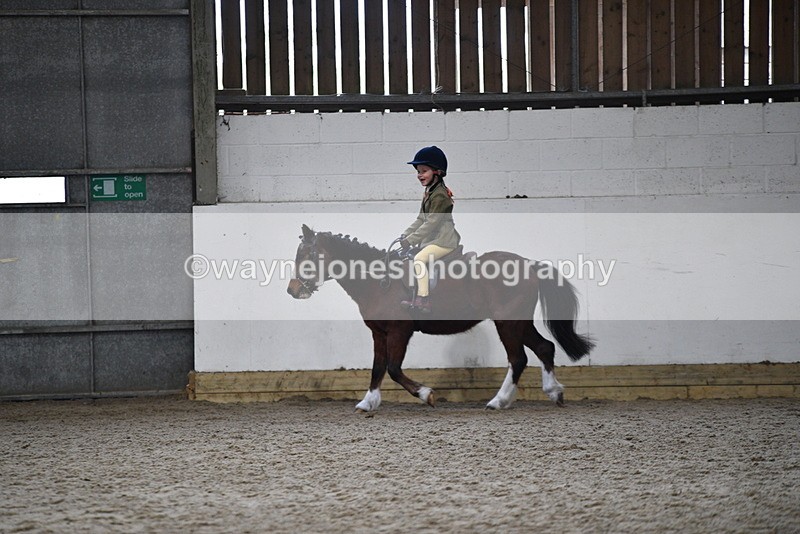 WJ5_6986 - Class 10 Childs Pony