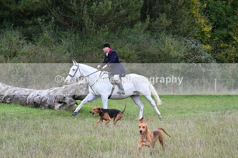 WJ7_3571 - Camera 1 Line 1