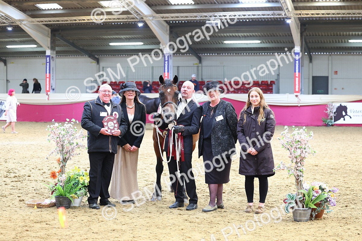 SBM_23015 - Class 903 - Supreme Final - IH Pre Vet