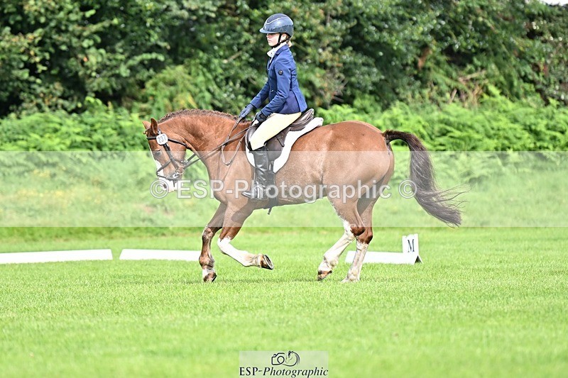 230826-100536-16361 - Sections A & B 10 to End