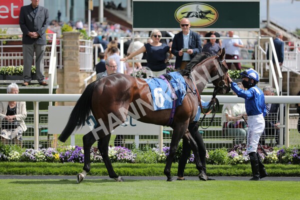 yr11062021r4-5 - Race 4 3.30pm British EBF supporting Racing with Pride Fillies' Handicap