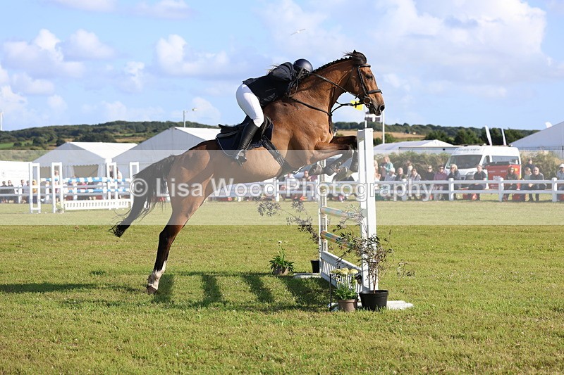 3E7A4351 - Class C: Showjumping Senior Foxhunter