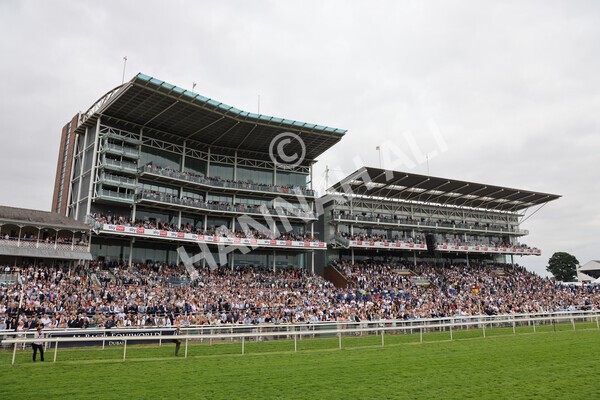 yr24072021r5-69 - Race 5 4.25pm Sky Bet Best Odds Guaranteed Stakes