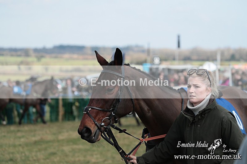 PtP 010325 141 - Beaufort Races Didmarton 01/03/25
