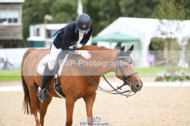 230813-134225-07630 - Cls 13 Medium Bronze 13.15 to End