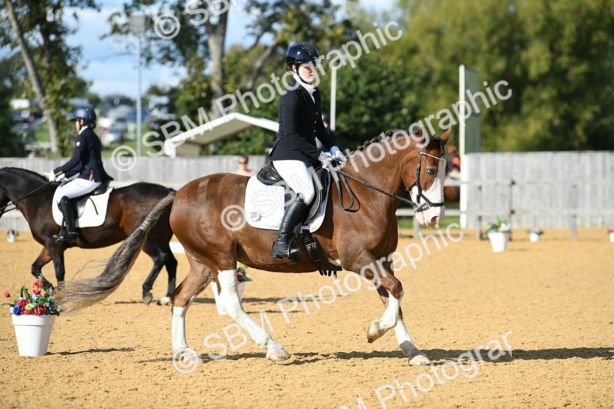 SBM_27103 - D16 - Small Tour Championship - Novice 28