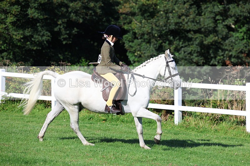 3E7A7594 - Class 1: Novice Working Hunter Pony