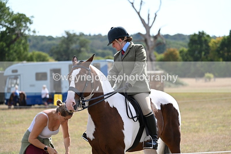 WJ7_2650 - Class 8 Ridden Tack & Turnout