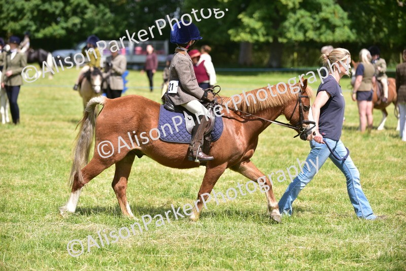 20260614-1228 - Class 11a - Lead Rein Pony (Unplaited)