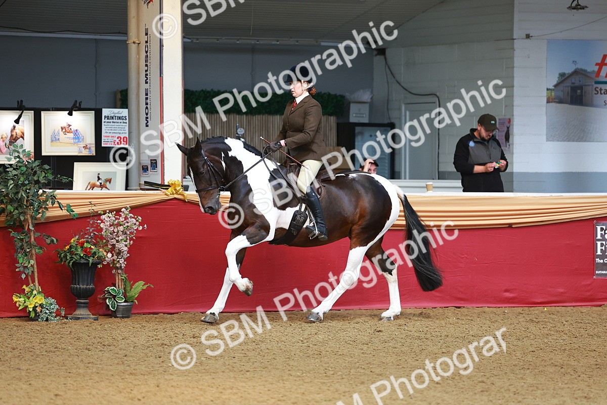 SBM_09767 - Class 102 - HOYS Veteran Qualifier - Ridden Veteran