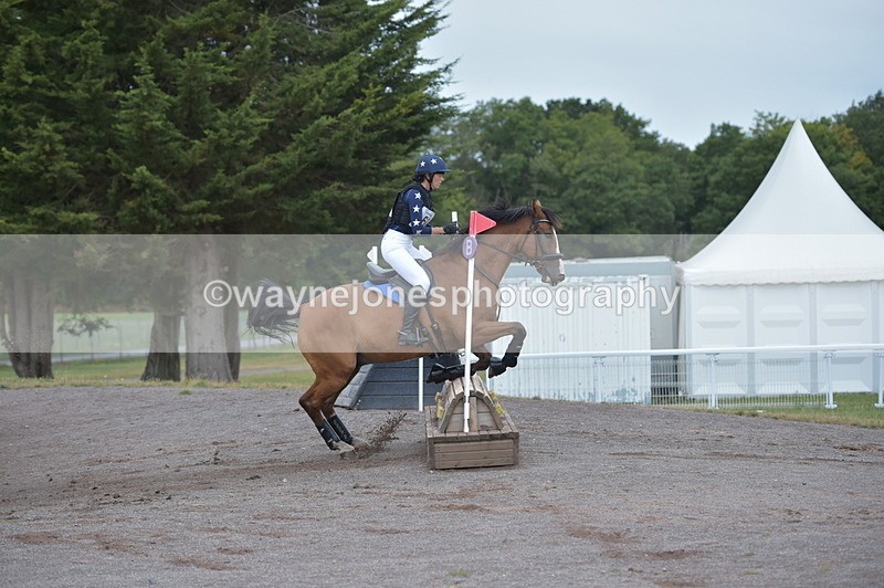 NGP_2529 - XC Time 11:37 to 11:57