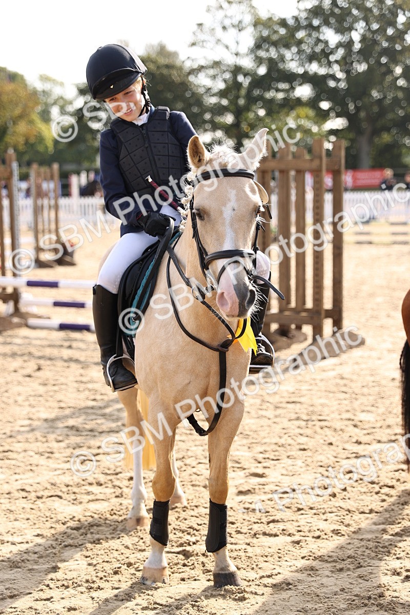 SBM_59779 - J11 - Junior Pony 50cm Championship