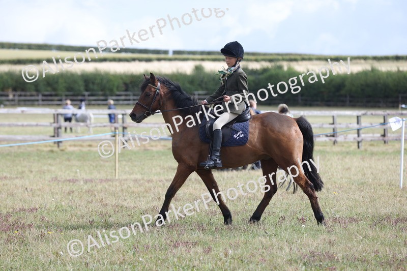 20250831-1133 - Class 15 - Ridden Veteran