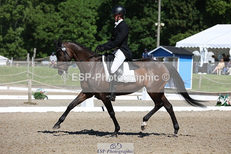 230526-102518-05256 - 361-FINCH_FANCY-Ben_Lee_Liles-WEDTrotUp+DR