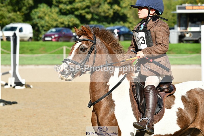 251004A-112151-00594 - Classes 4 & 5 50cm