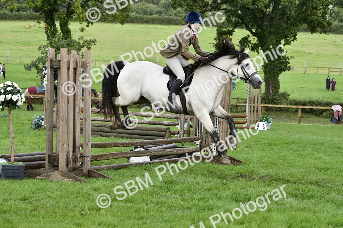 SBM_41525 - S32 - Mountain & Moorland Working Hunter Pony