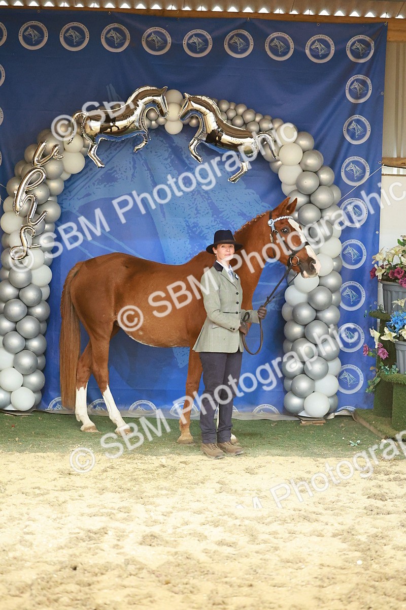 SBM_13712 - Class 104 - IH  Costume