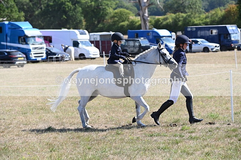 WJ6_7762 - Class 36 Lead Rein