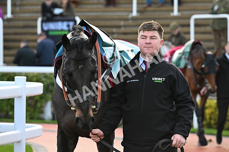 121225-Race 6-Mister Coffey-6491 - Race 6