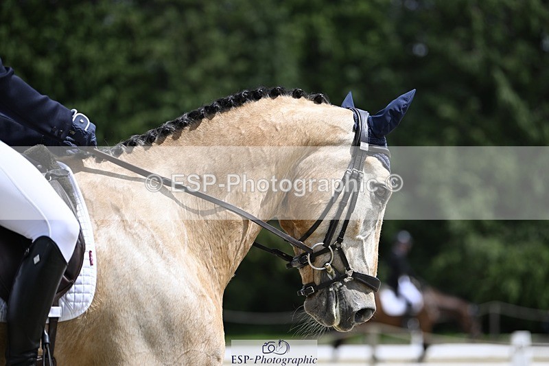 240523-133102-04807 - 109-MJM_BOBBY_DAZZLER-Rosie_Ringer