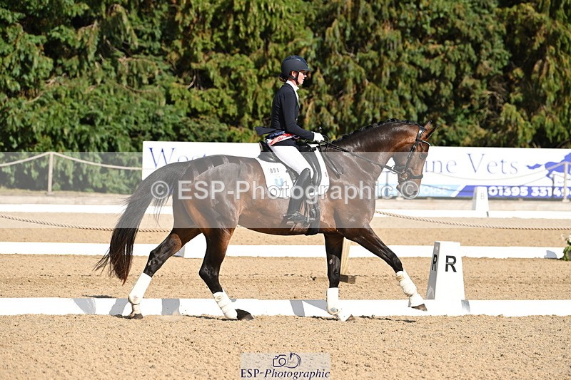 250808A-170050-02193 - Novice GOLD Presentations