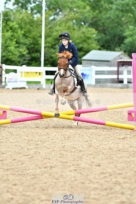 230804A-120128-02428 - Showjumping Competition