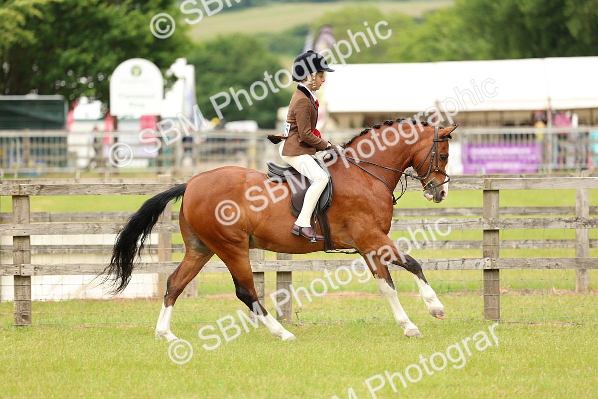 SBM_10448 - Class 44-45 - LIHS BSPS Open Nursery and Cradle Stakes