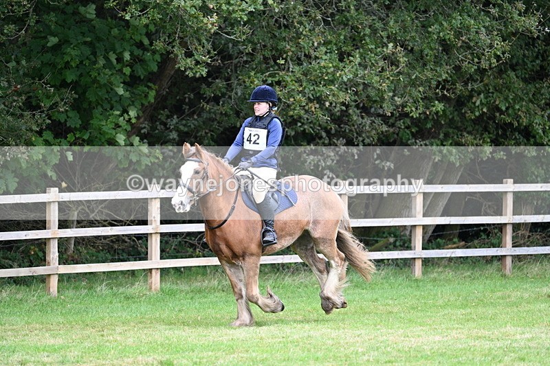 WJ7_7700 - 40cm Time 10:49 to 11:18