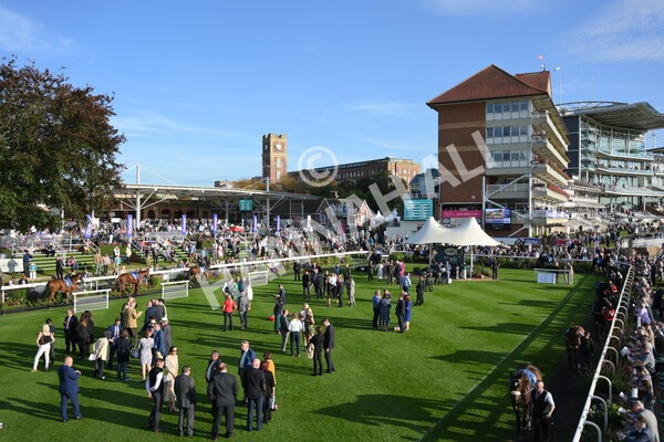 yr08102021r5-2 - Race 5 4.20pm Copper Knight - Winning Most Horse At York Handicap