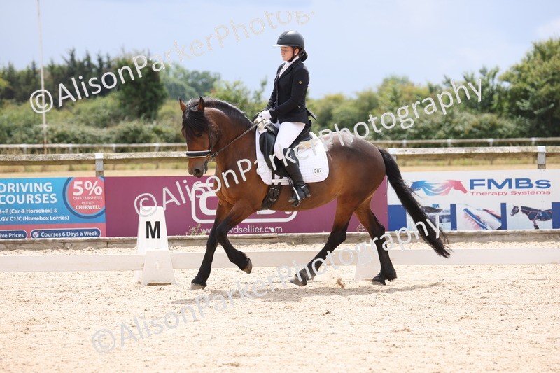 20250706-0480 - Class 17 - Elementary 5