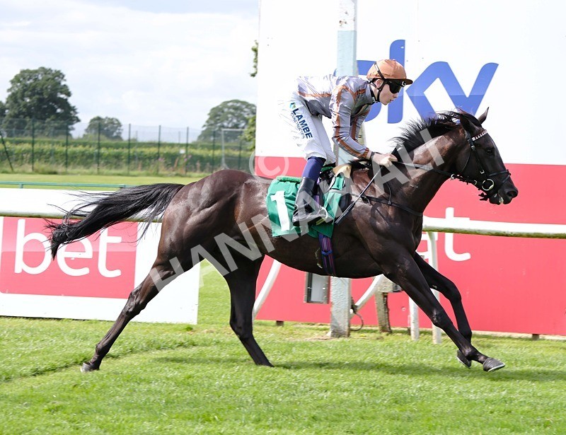 260724-Race 4-Yaajooz-06 - Race 4