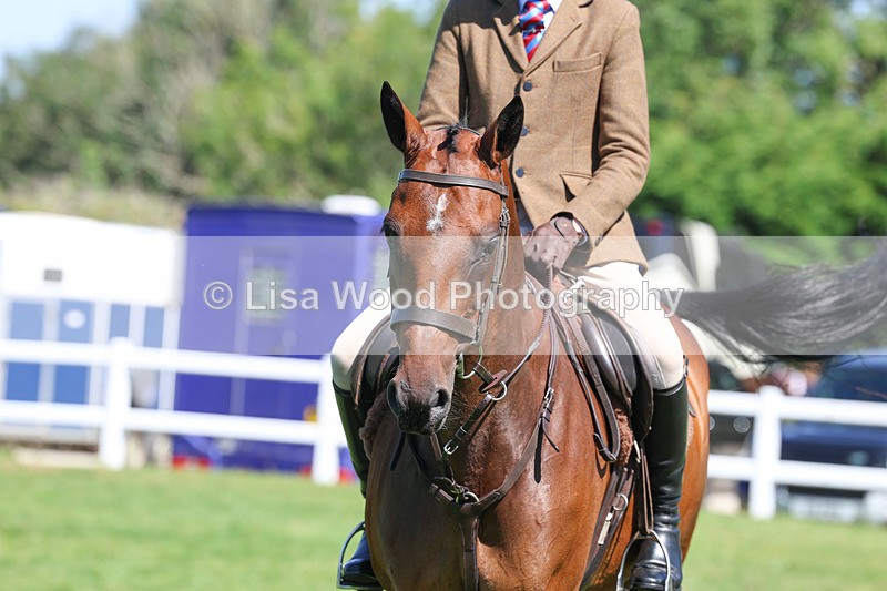 3E7A8455 - Class 4: Novice working Hunter