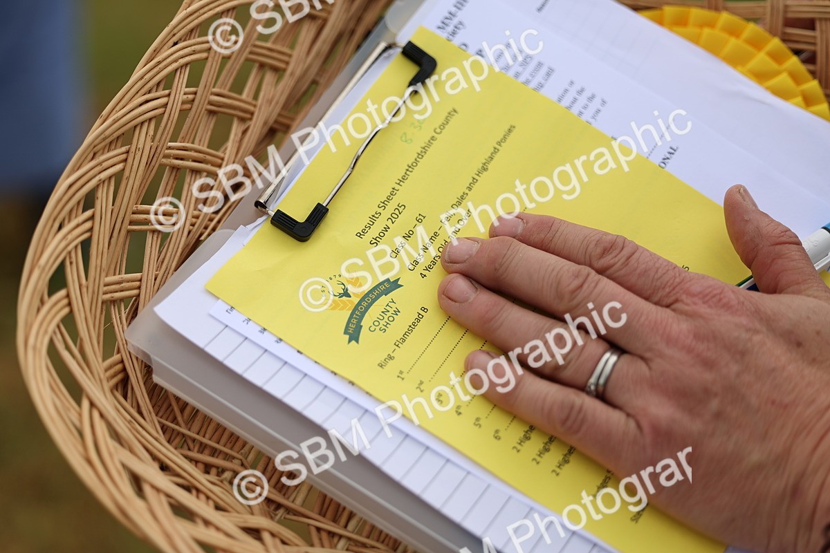 SBM_00461 - Class 58-67 - M&M Non Welsh Pony In hand