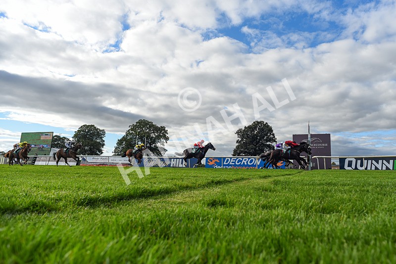 050926-Race 7-Andesite-7251 - Race 7 5pm Thirsk Racecourse Ideal Conference & Events Venue Handicap (Div I)