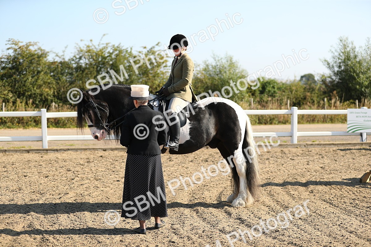SBM_01169 - Class 42 Ridden Veteran