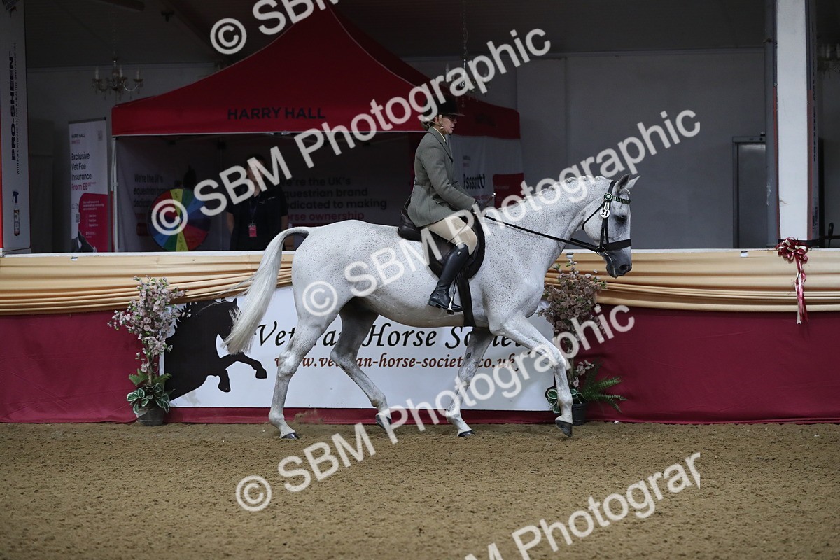 SBM_10306 - Class 102 Equitation (best rider) Adult