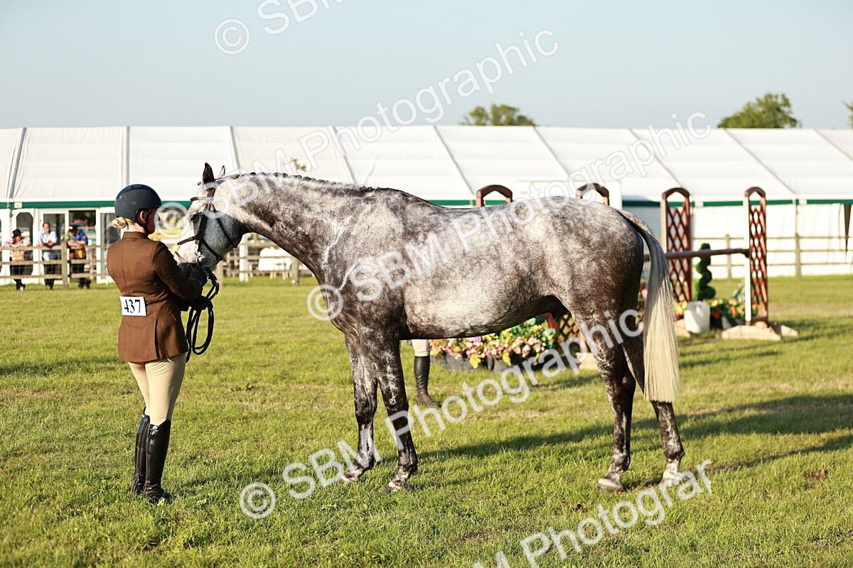 SBM_20511 - Class 117-119 - Sport Horse Working Hunter