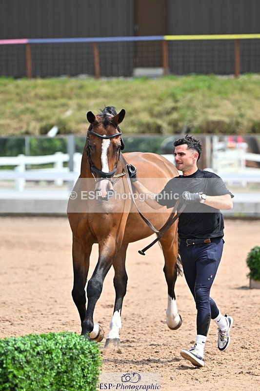 240718A-105302-01470 - Trot Up 12pm to 1pm