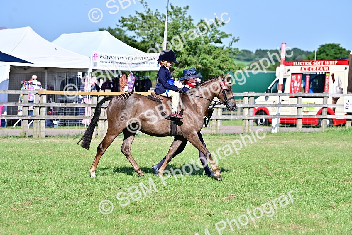 SBM_19839 - Class 103 - 105 - TSR Ridden Amateur of the Year Plaited Ponies