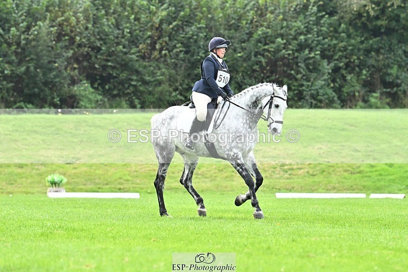 241024-115153-02505 - 510-Kathryn.Virjee-BROWNSTOWNS.SEAWATCH