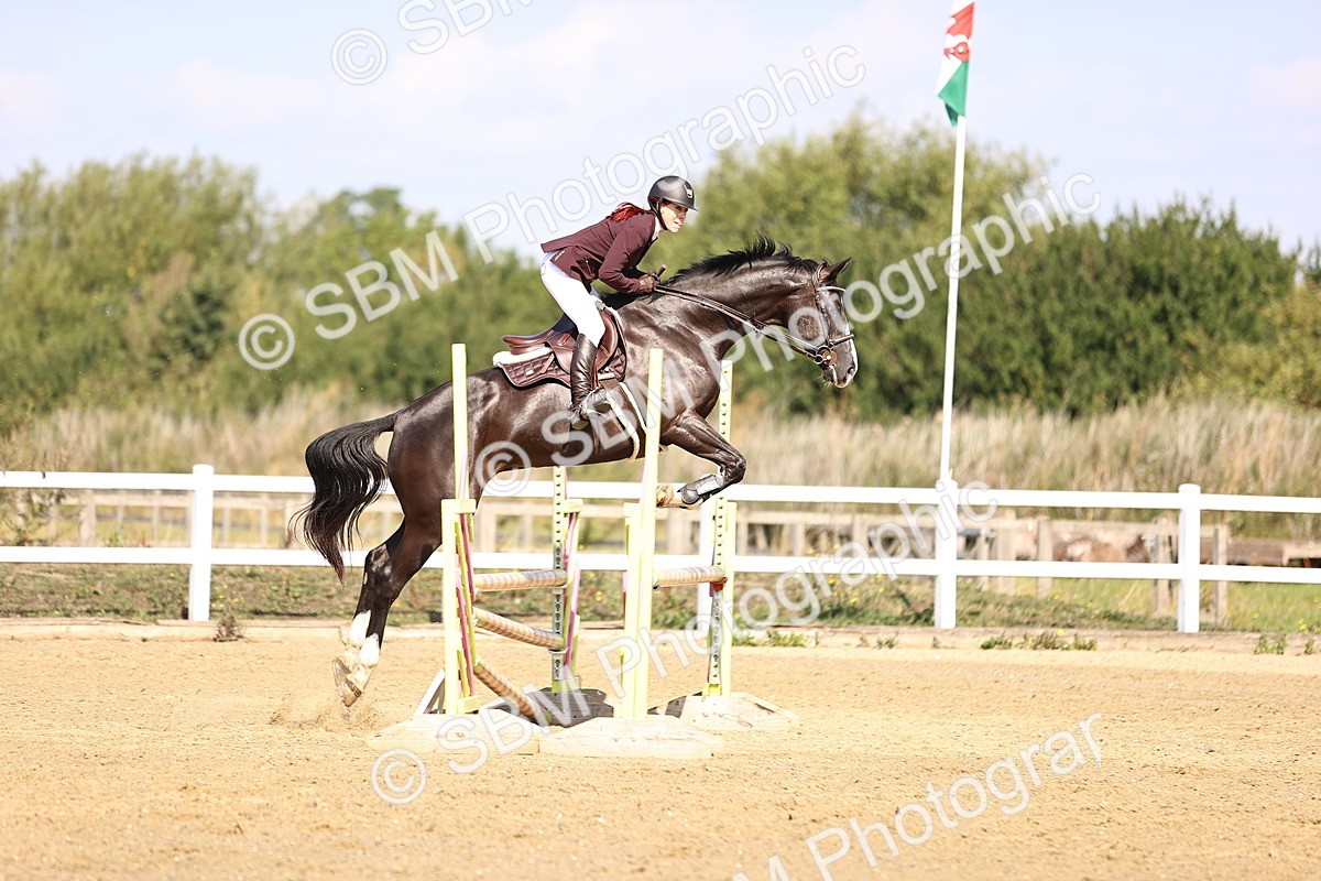SBM_005740 - Class 9 - Senior British Novice - 90cm