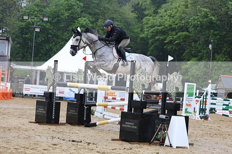 3E7A7405 - Class 8: Senior Foxhunter/1.20 open