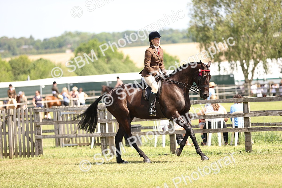 SBM_14873 - Class 78 - LIHS BSHA Open Racehorse & Show Horse