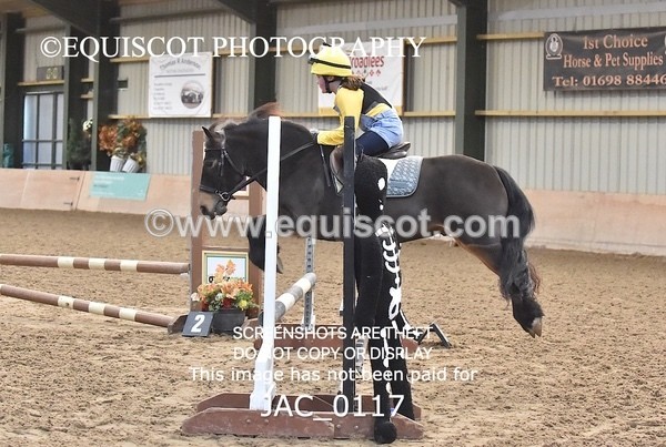 JAC_0117 - CLASS 5 Progressive Show Jumping - (0.60m)