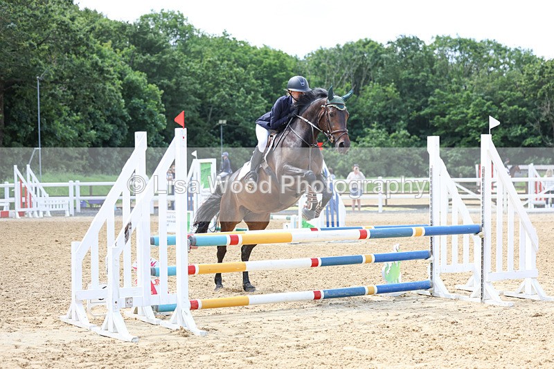 3E7A3109 - Class 4: Senior British Novice/90cm open