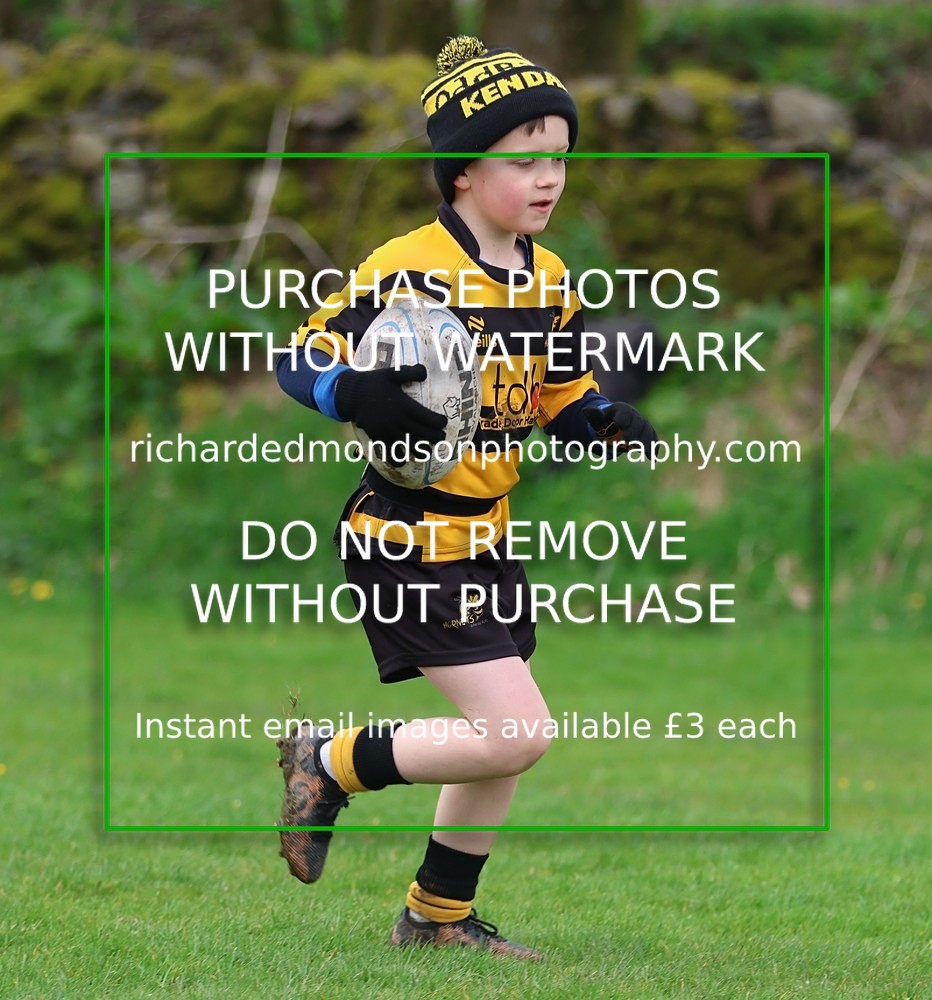 533A5209 - Kendal Rugby Under 7's (12/4/26)