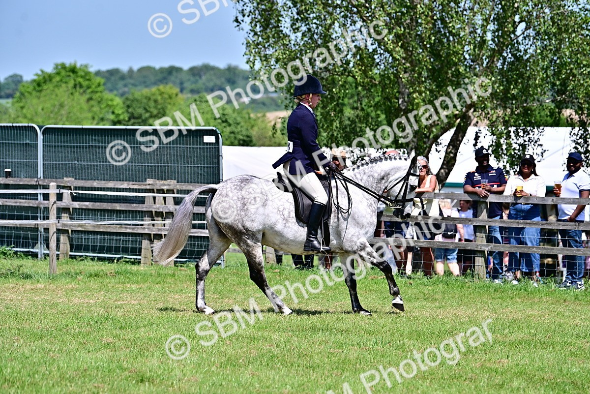 SBM_17406 - Class 95-97 - BSPS LHS Performance Ponies