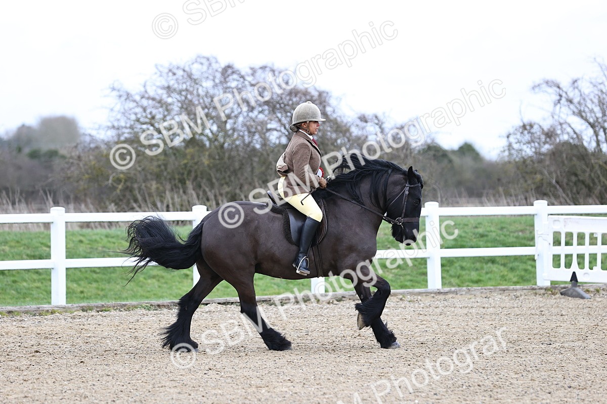 SBM_007045 - Class 29 - 30 - M&M Pure Novice Small-Large Breeds