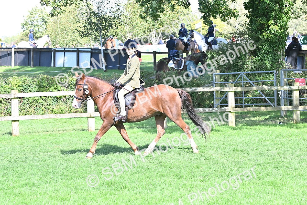 SBM_44550 - S13 - Pony Club Pony