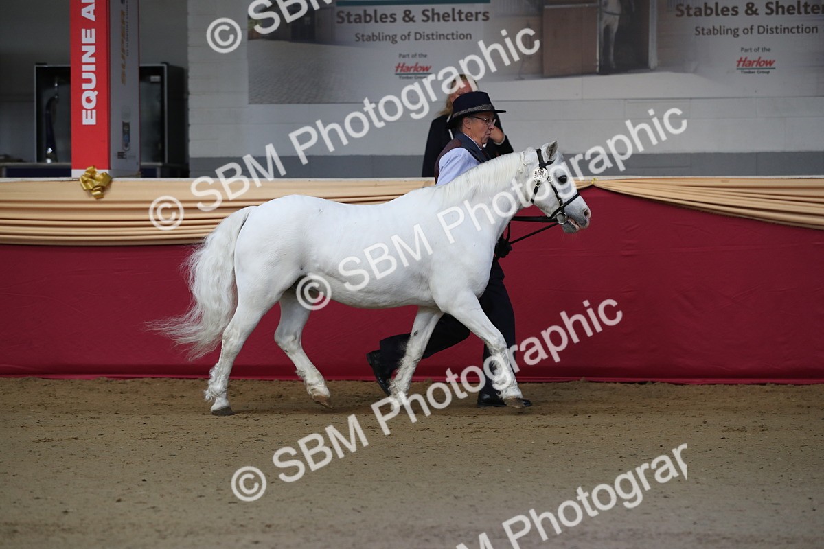 SBM_00528 - class 2a Area IH Veteran
